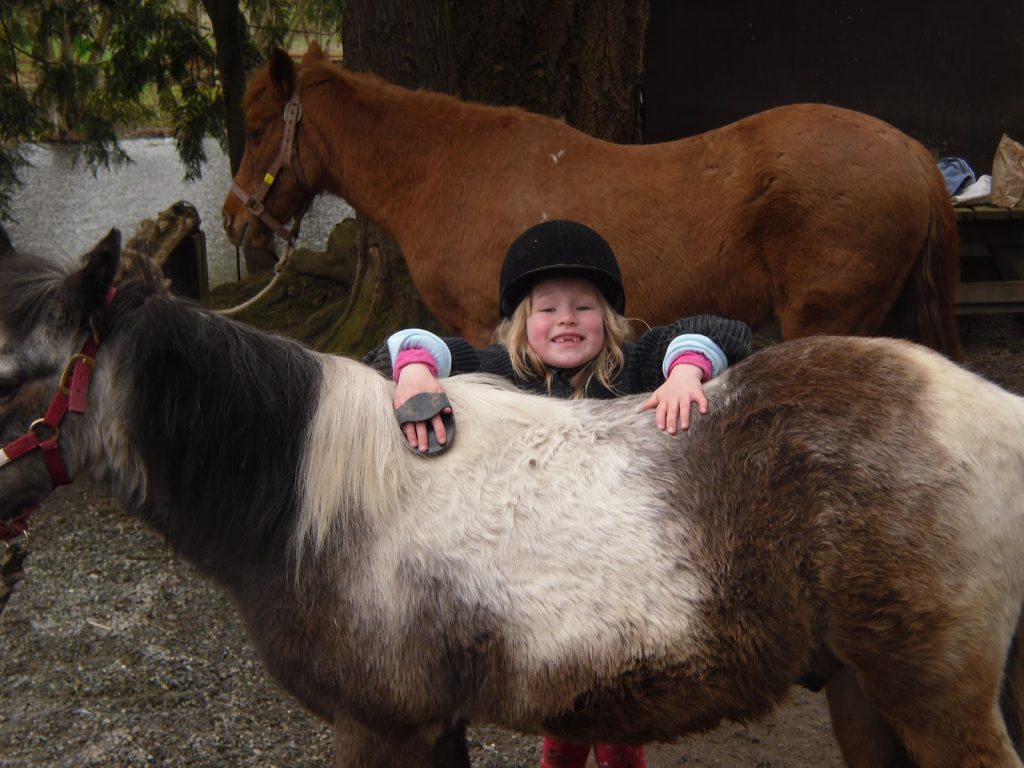 Starbucks was a good place to work during Pony Camp.